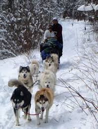 Galapagos- Outward Bound Winter Adventure -Dog Sledding (Accepted Scholars Only)