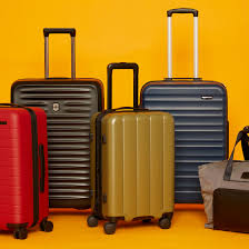 Luggage fee- for checked luggage (DC, Great Books, SeaCamp)